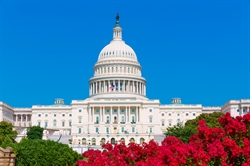 [ai] The U.S. Capitol building with a clear blue sky in the background, framed by vibrant red flowers in the foreground.